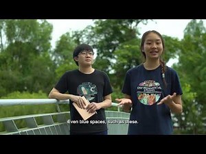 Environmental Studies | XDP@CHS Major