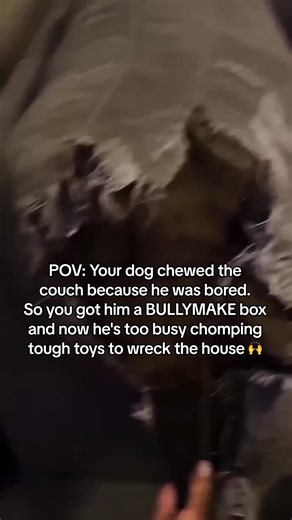 7.5K views | "If you love your dog, give them a Bullymake Box!" Made with safe, non-toxic materials, these tough toys and delicious treats are built just for power chewers.  Keep them happy, healthy, and entertained!  | BULLYMAKE | Facebook