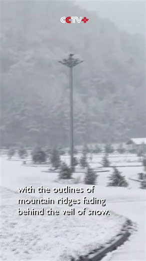 Cold Wave Brings Snowfall to High-Altitude Parts of China's Chongqing #snowscene #beautifulscenery