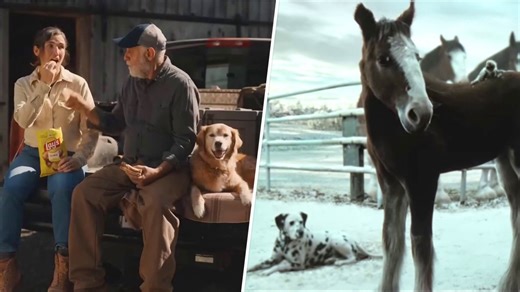 What Were the Best Super Bowl Ads? These 3 Commercials Came Out on Top