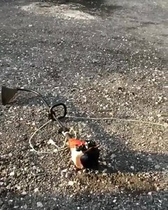 Caption this! | Boost Lab