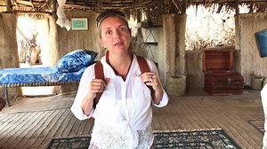 1.2K views · 36 reactions | The Wanderers Backpack is BACK IN...