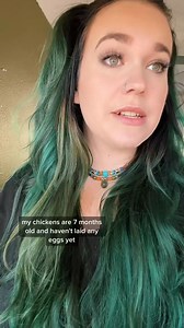 478K views · 15K reactions | Facebook chicken group chronicles. This is part 3 I posted over two years ago so I had to bring it back again. #chickens #chickensofinstagram #chickenlady #backyardchickens #homestead #homesteading #farm #farming #farmanimals | The Hot Mess Homestead | Facebook