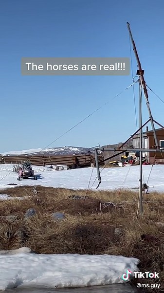 Another Golovin goal checked off! #alaskateacher #alaska #horses