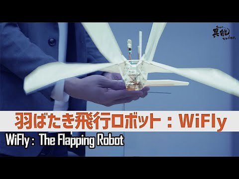 蝶のように自由に舞う、羽ばたき飛行ロボット「WiFly」