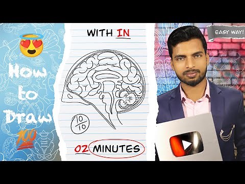 How to draw HUMAN BRAIN step by step in easy way.