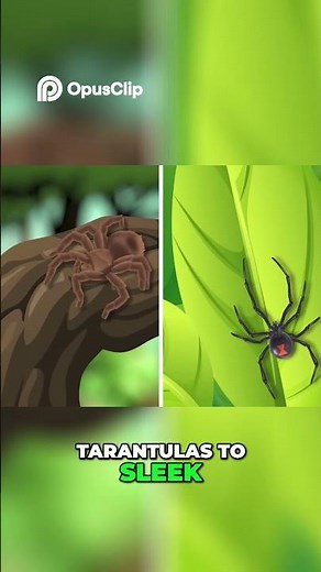 Spiders The Ultimate Guide to These Diverse Predators!