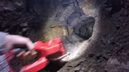 What was left behind inside a forgotten 19th-century gold mine