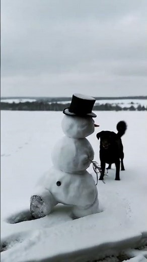 Winter Magic: The Snowman Starts Walking