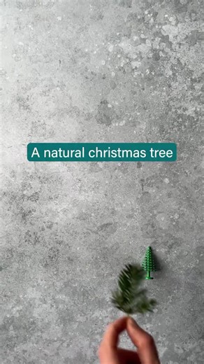 How bad are Christmas Trees?Real vs PlasticAnother great video from Fork Ranger and Frank Holleman putting into context how bad Christmas trees are.As usual, what we eat remains a huge part of… | Adam Bastock | 127 comments