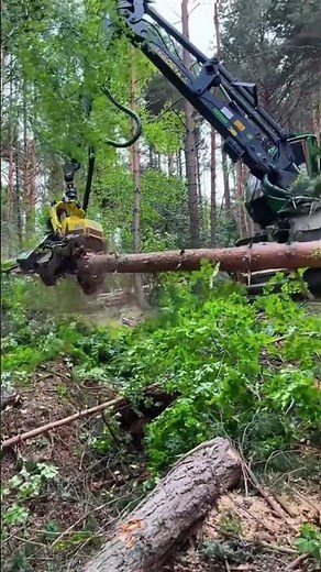 The Best Tree Cutting Machine You’ll Ever See!