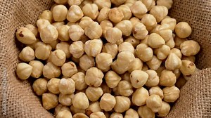 Shelled hazelnuts in a sack close up. Peeled raw nuts. Filbert harvest concept. Rotation