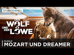 Cuteness overload bei DER WOLF UND DER LÖWE | Jetzt für Zuhause