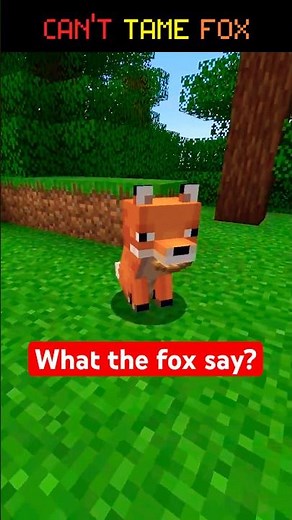 YOU CAN NOT Tame FOX in MINECRAFT