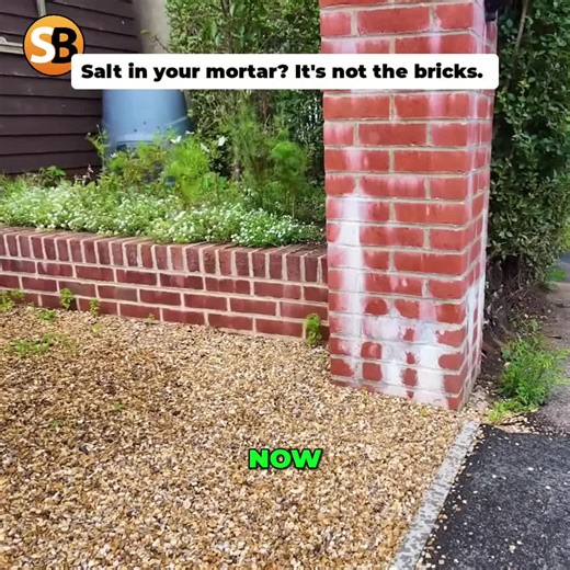 The salt is coming from the mortar, not the bricks! It's likely due to building sand containing salts or possibly washing-up liquid being used instead of a plasticizer. Mind-blowing building science! #BuildingScience #ConstructionTips #DIY #HomeImprovement #DidYouKnow