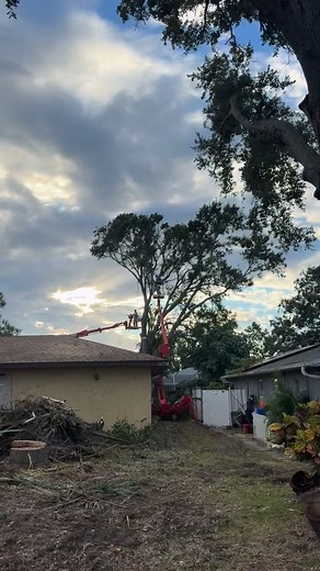 I know... $997 for tree removal? That's crazy. Tree removal is like 6k usually. Right?.. Sort of... But not really. It has to do with the size, the difficulty, and the location. Thing is... There's a fair price. (Especially during savings events like this one! Our tree removal projects start at $997) And there's pricing that's so insanely ridiculous that I don't know how these tree service contractors sleep at night. My name is Daniel Yoder, and I own Branch Management Tree Service. Here's how I