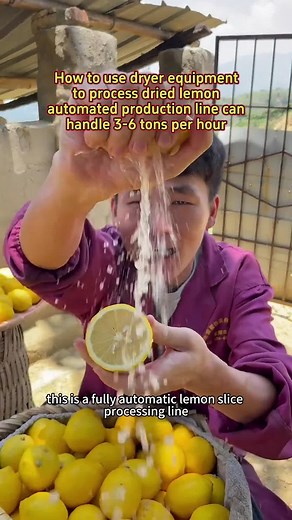 #dryingmachine #fruitdryer #dryer #lemon #fyp