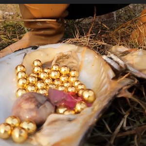 65K views · 2K reactions | Natural freshwater pearls have been nurtured for hundreds or even thousands of years! | Chichaitos Moroveños | Facebook