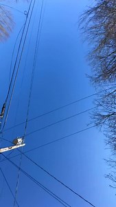 Moose Painting on Reels | Facebook