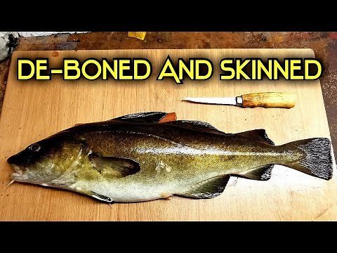 How to Fillet cod