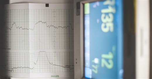 MSc Reproduction and Development | Study at Bristol | University of Bristol