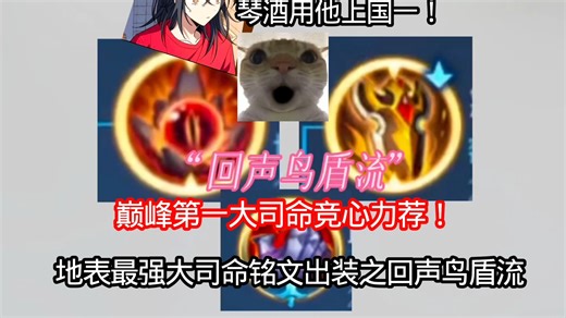 巅峰第一大司命竞心强势带黑科技回归，琴酒用他上国一！地表最强“回声鸟盾流”铭文出装