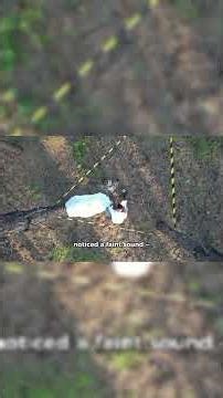 He Survived a 30,000 ft Fall (True Story)