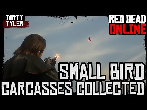 RDR2 Small Bird Carcasses Collected Locations Guide Red Dead Online