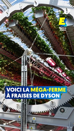 Voici la méga-ferme à fraises de Dyson 🍓 | Explore Science