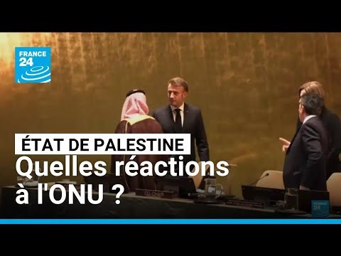France officially recognizes the State of Palestine: reactions • FRANCE 24