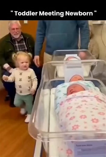 Well they are here!Sibling love…eventuallyHave a #lovely and #happyweekend!https://t.co/nQvqV9jdIZ@mvollmer1 @morgfair @ChuckDBrooks @Nicochan33 @enricomolinari @NancySinatra @Ronald_vanLoon @alvinfoo @KirkDBorne @Hana_ElSayyed @JimHarris @MikeQuindazzi @Shi4Tech @mhcommunicate @ipfconline1 @kashthefuturist @rwang0 @HeinzVHoenen @YuHelenYu @BetaMoroney @antgrasso @kuriharan @PawlowskiMario @EvanKirstel @HaroldSinnott @terence_mills @FrRonconi @TamaraMcCleary @UrsBolt @pascal_bornet @HeinzVHoenen