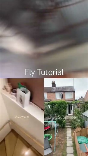 Fly Tutorial