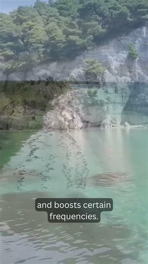 What You’re REALLY Hearing in a Seashell