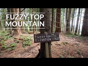 A Scenic Hike to Fuzzy Top Mountain in the Capitol Forest, Washington - Travel the Pacific Northwest