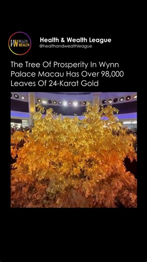 Every hour inside Wynn Palace Macau, the Tree of Prosperity awakens — a stunning golden dance of light, motion, and artistry. Rising from beneath the floor, the tree features 98,000 leaves of pure 24-karat gold, each one symbolizing wealth, energy, and good fortune. As the dome above opens and the lights shimmer, the entire atrium transforms into a breathtaking fusion of engineering, culture, and craftsmanship. A creation built to celebrate abundance — and one of the most extraordinary sights in