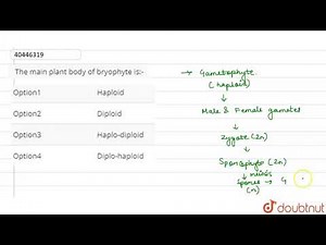The main plant body of bryophyte is:-