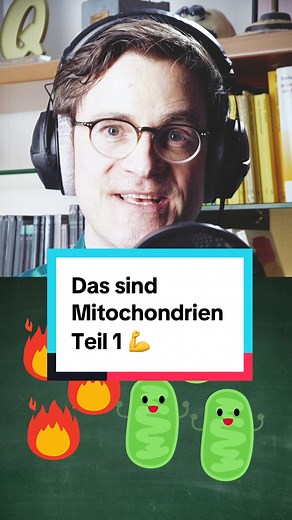 Mitochondrien Teil 1: Erfolg im Abi!
