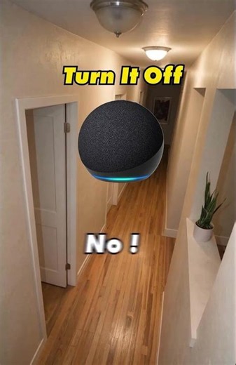 Parrot says Alexa play music - Turn it off by Elvara