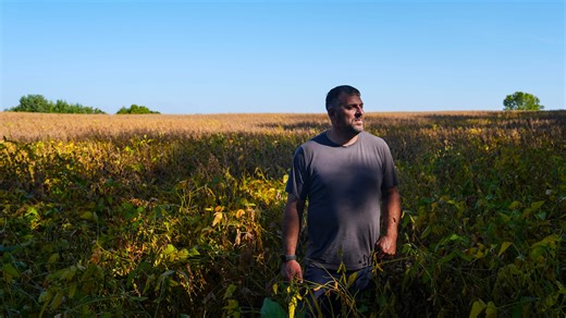 As trade war stretches into harvest season, Kentucky farmers are 'running out of time'