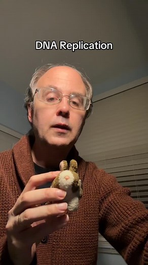 2K views · 9 comments | The beautiful simplicity of DNA replication unzip then match. science biology genetics heredity #hopster #hopsterrabbit #hopsterscience | Scott Castroll | Facebook