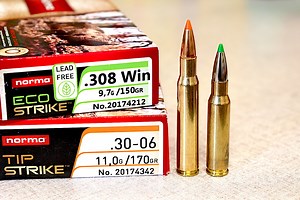 Sorry, But The 308 Winchester is Not Equal to the 30-06 — Ron Spomer Outdoors