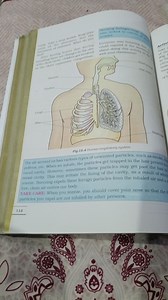 Fig 10.4 Human respiratory systemThe air around us has various... | Filo