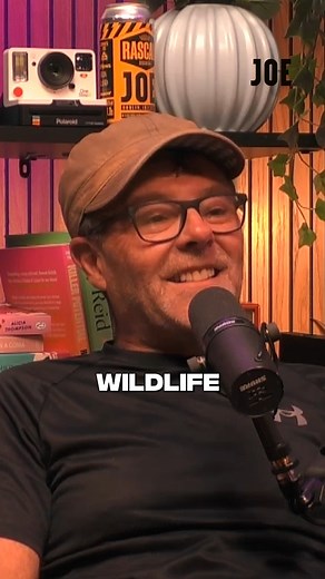 8.5K views · 41 reactions | "There's a whole world existing right beside you and you don't have to go to the Serengeti to see it!"  Eric and Willa were joined by Trinity College's Biodiversity Officer Collie Ennis for this week's episode of You Must Be Jokin'! 朗 #Irish #TrinityCollege #Dublin #Nature #Biodiversity | JOE.ie | Facebook