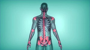 Human Connective Tissue Anatomy 3d Animation 库存影片视频（100% 免版税）1106258953 | Shutterstock