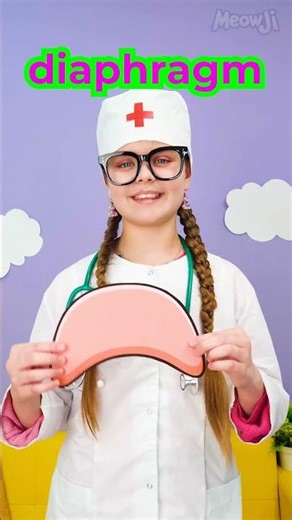 👃Learn About Lungs! #learn #kids