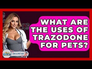 What Are The Uses Of Trazodone For Pets? - Ask A Pet Vet