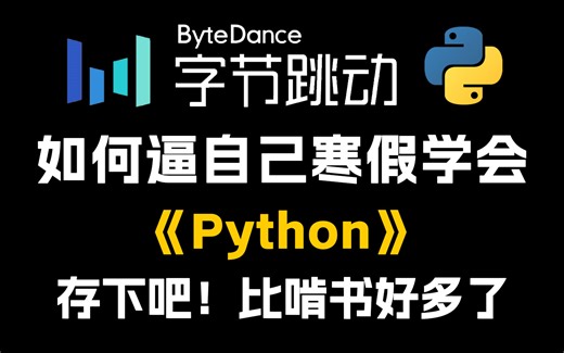 禁止摆烂！字节大佬88小时讲完的Python全套教程，2025最新版，逼自己花一个月刷完，学完即可就业！学不会退出IT界！