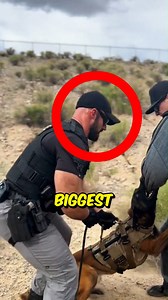 This is the biggest police officer in the world 💪🚔 (@kilograms.and.k9s) . . . . . . #bodybuilding #policeofficer #ronniecoleman #fitnessmotivation #muscleman #beastmode #gains #strongestcop #gymmotivation #fitlife #trainhard #policefitness #fitnessgoals #gymbeast #bodybuilder #naturalstrength #musclelife #workoutmotivation #coplife #fitcops #ironaddict #fitnessfreak #powerphysique #bulkup #massmonster #policebodybuilder #gyminspiration #strongphysique #musclemotivation #worldsstrongest | Muscl