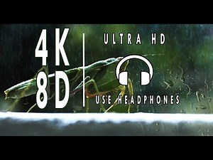 8D Rain and thunder sound, 4K 30 minutes rainfall ambience [Use Headphones for 8D rain experience]