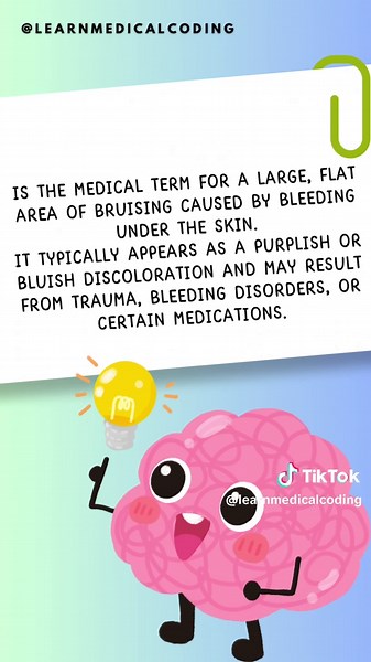 Understand Ecchymosis: Medical Term Explained